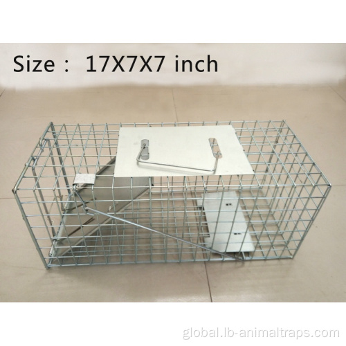 Live Animal Cage Trap Ground Squirrel Trap Cage Squirrel Trapping Tools Factory